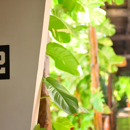 Casa Teka - Boutique Hotel&Cenote