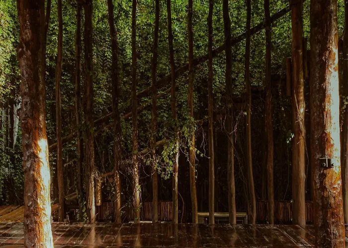 Casa Teka - Boutique Hotel&cenote Tulum