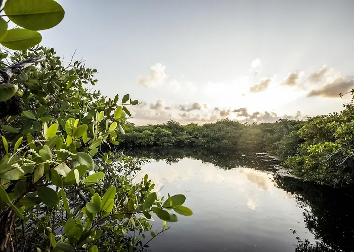 Casa Teka - Boutique Hotel&cenote Tulum