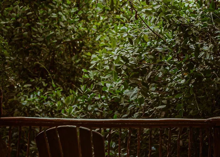 Casa Teka - Boutique Hotel&cenote