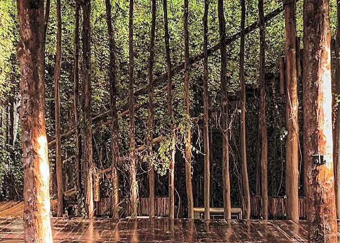 Hotel Casa Teka - Boutique Hotel&cenote