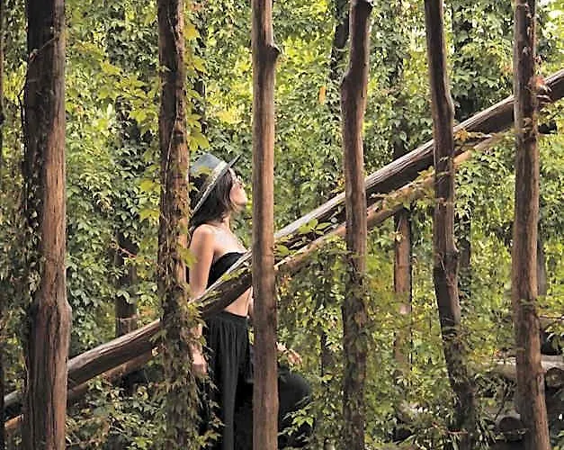 Casa Teka - Boutique & Cenote 4* Tulum